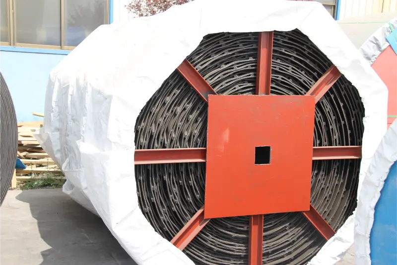 Cautiones de institutione Chevron Belts