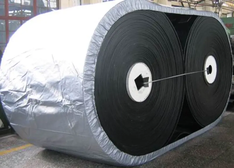 Quam ad elige ius Conveyor Cingulum in linea productionis tuae