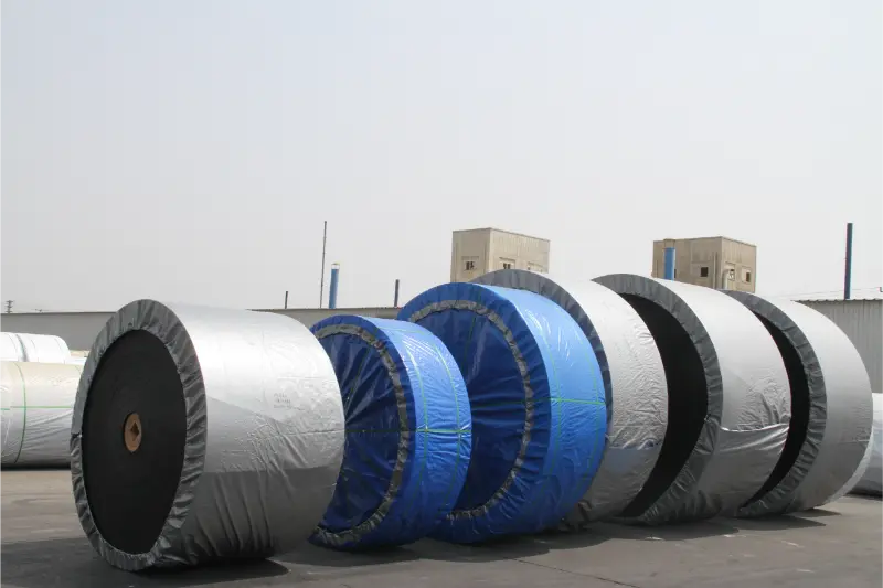 Troubleshooting Guide pro Ferro Funiculus Conveyor Belts